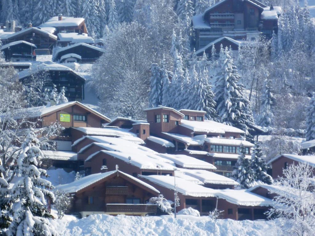 Village De Vacances Les Flocons Verts Les Carroz d'Araches Eksteriør billede
